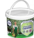 Top 4 Tree Whitening Paint Varieties and How to Apply Them Properly