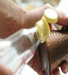 TOP 14 remedies to clean brass at home