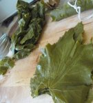 TOP 7 ways to save grape leaves for dolma for the winter