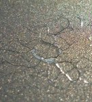 13 main paint defects, their causes and how to eliminate errors yourself