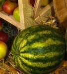 How much cut watermelon can be stored in the refrigerator