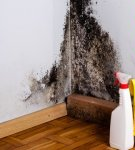 17 Best Wall Mold Remedies With Description