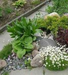 How can you make a rock garden in the country with your own hands, rules of creation and examples