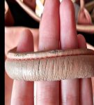 Instructions on how to repair the handles of the bag with your own hands