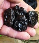 How to properly store prunes at home, the best ways and possible problems