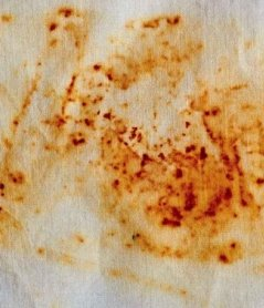 30 ways how and how to remove rust from clothes at home