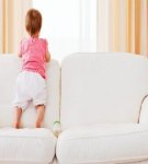 TOP 20 tools and methods to remove the smell of urine from the sofa at home