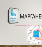 TOP 10 methods for removing potassium permanganate from clothes at home