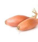 How and where is it better to store vegetables at home, rules and selection of temperature