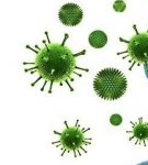 TOP 20 methods for humidifying the air in a room with your own hands at home