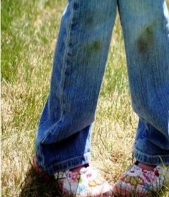 How to quickly remove grass from jeans and other clothes at home