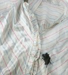 How and how to remove ink from a ballpoint pen on clothes, 50 products