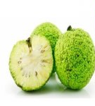 How and how much can you keep an Adam's apple at home