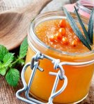 How to properly store sea buckthorn, the best ways and additional tips