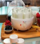 How to choose the right yogurt maker, what is important to know and an overview of the best models