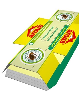 cockroach trap house