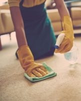 How and what to clean the carpet at home quickly and effectively