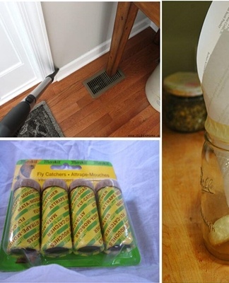 ways to control insects