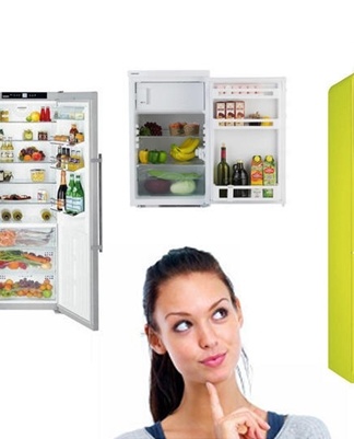 the girl chooses the refrigerator