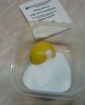boric acid with cockroach egg