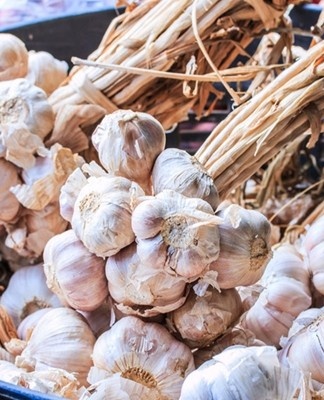 clumps of garlic