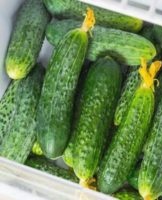 How to properly store fresh cucumbers at home longer