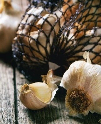 garlic at the bottom