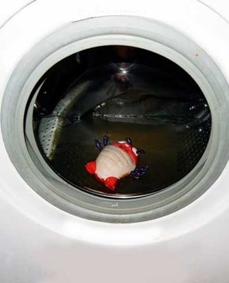water in the washing machine