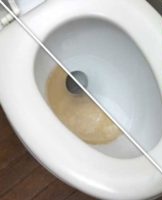 20 best folk and chemical remedies for quick cleaning of the toilet bowl