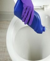 30 best toilet cleaners with descriptions and ratings