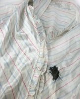 How and how to remove ink from a ballpoint pen on clothes, 50 products