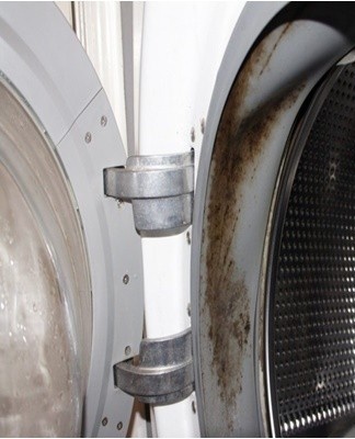 Removing all traces of mold requires more cleaning than the drum and the detergent compartment.