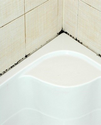 mold in the bath