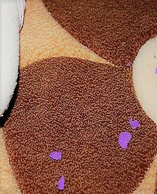 the main thing is that the wool takes on greasy traces, removing them from the surface of another fabric.