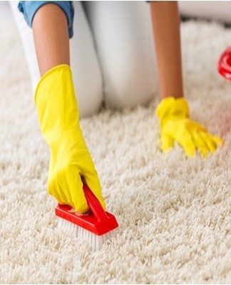 Top 25 Effective Chemical and Popular Carpet Cleaners