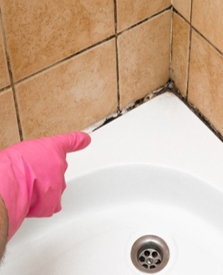 mold in the bathroom