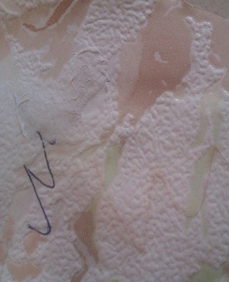 It is necessary to make a mixture of starch with water, apply it carefully on the ink with cotton swabs, wait a little