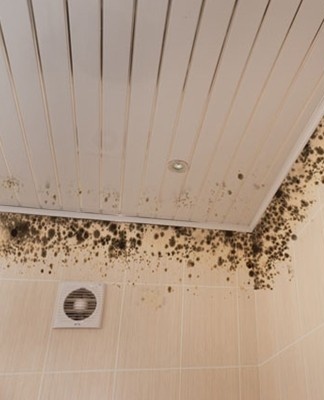 How to Get Rid of Mold in the Bathroom, 20 Best Elimination Remedies