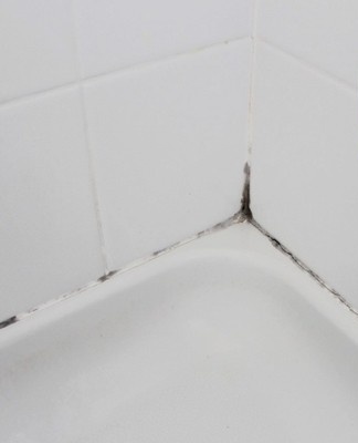 mold in the bathroom