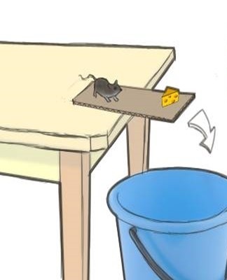 cardboard bucket and mousetrap