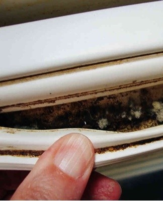 Get rid of them will help solutions based on ammonia and acetic acid