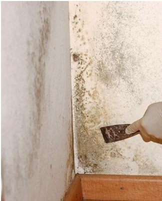 The appearance of condensation on the walls of the cellar can be prevented by covering them with a special "breathable" plaster such as "Monolith" or "Ceresit".