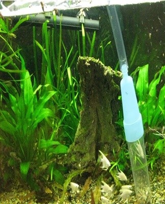 Water, along with various debris, enters the tube and is drained into a previously prepared container.