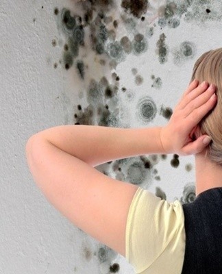 10 best ways to get rid of fungus in the cellar and how to remove dampness