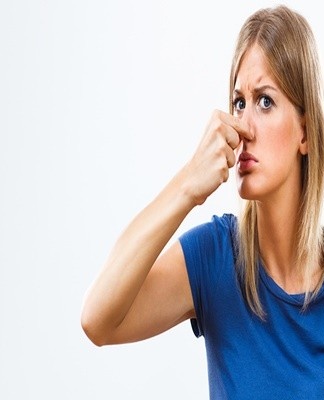 disinfection of the premises is considered an important step in the fight against mold in the house.