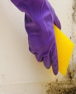 Removing all traces of mold will be necessary to completely eliminate the mold smell from the room.
