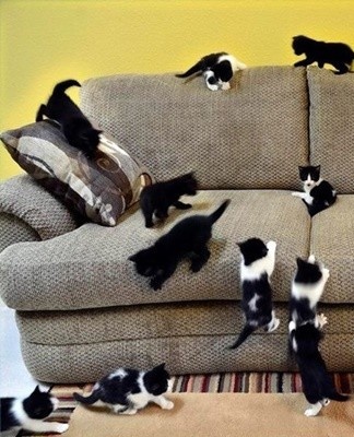 When all means have been tried, all that remains is to have the sofa cleaned by professionals.