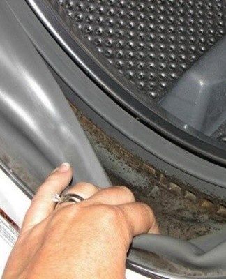 the mushroom not only has an unpleasant smell, but also looks intimidating.