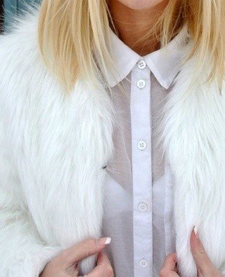 It is desirable that it be in direct sunlight for at least 8 hours.