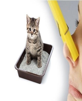 When buying a cleaner, make sure it is effective and suitable for removing animal urine odors.